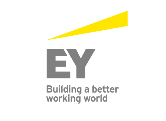 Change Matters Sponsor - EY